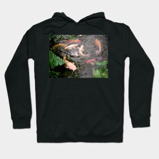 Fish in Water Hoodie